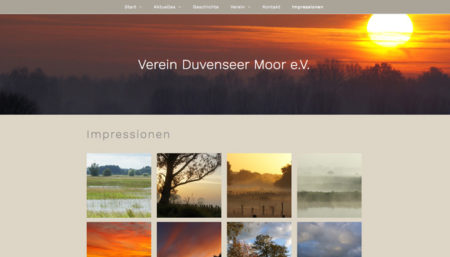 Sandesnben Webdesign