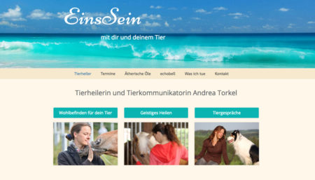 Müssen Internetagentur